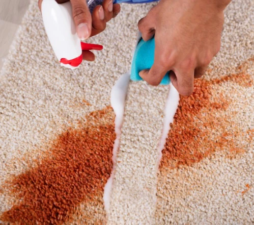 Cybergold Rug Stain Remover Spray - Image 3