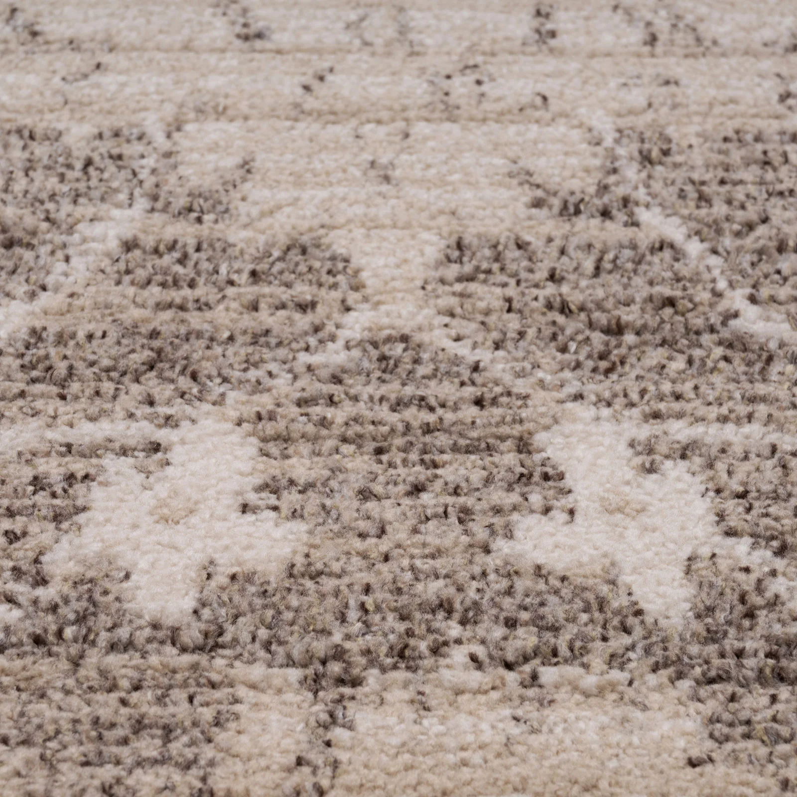 Neutral Floral Living Room Rug - Leonie - Image 5