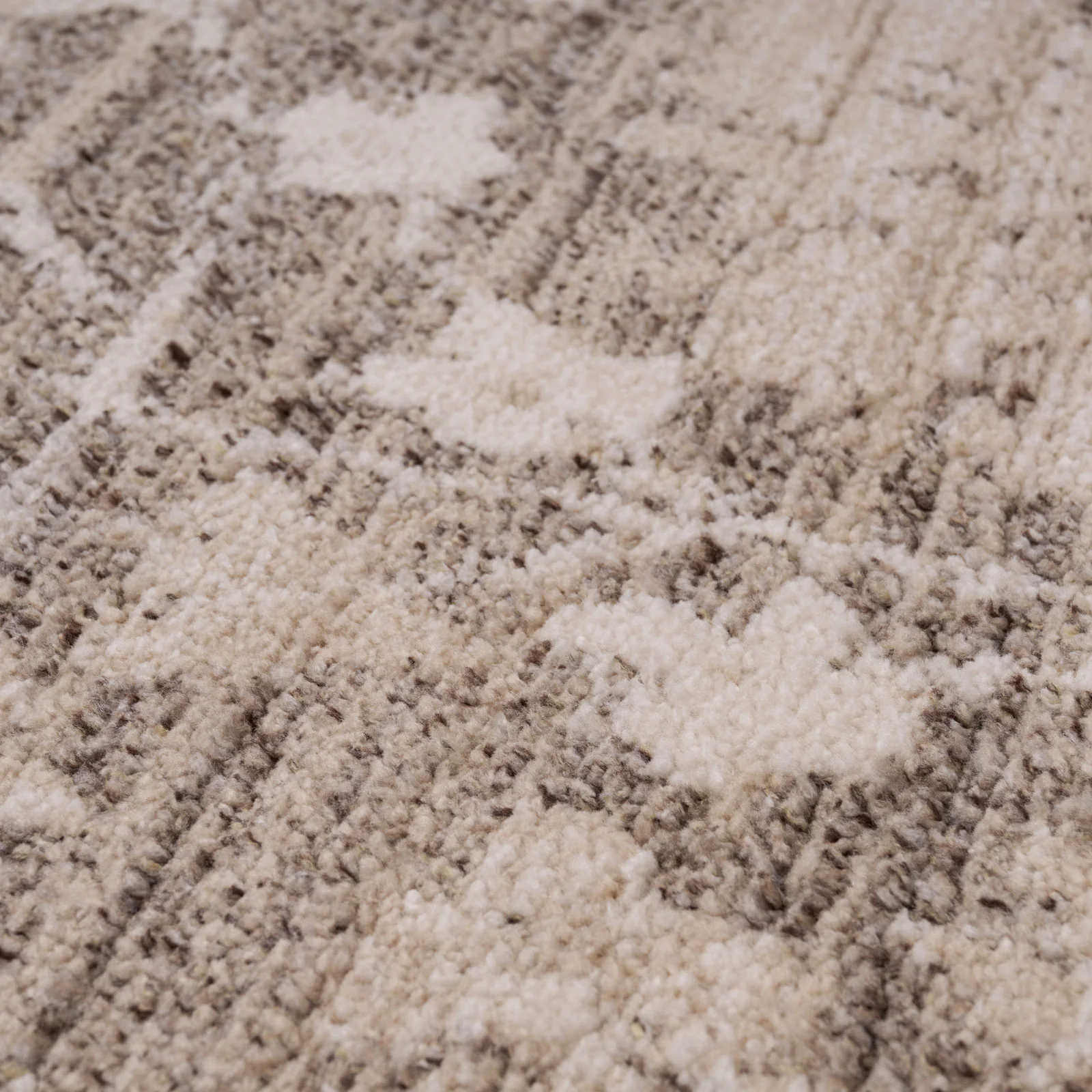 Neutral Floral Living Room Rug - Leonie - Image 6