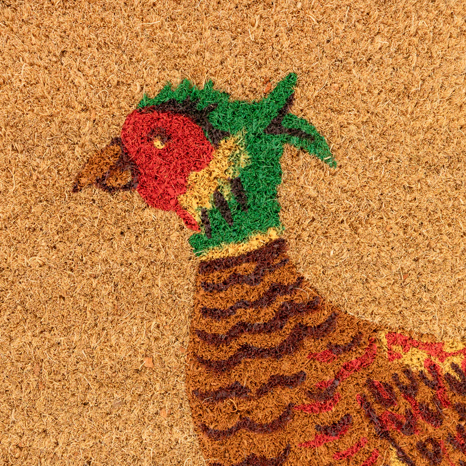 Pheasant Coir Doormat - Image 3