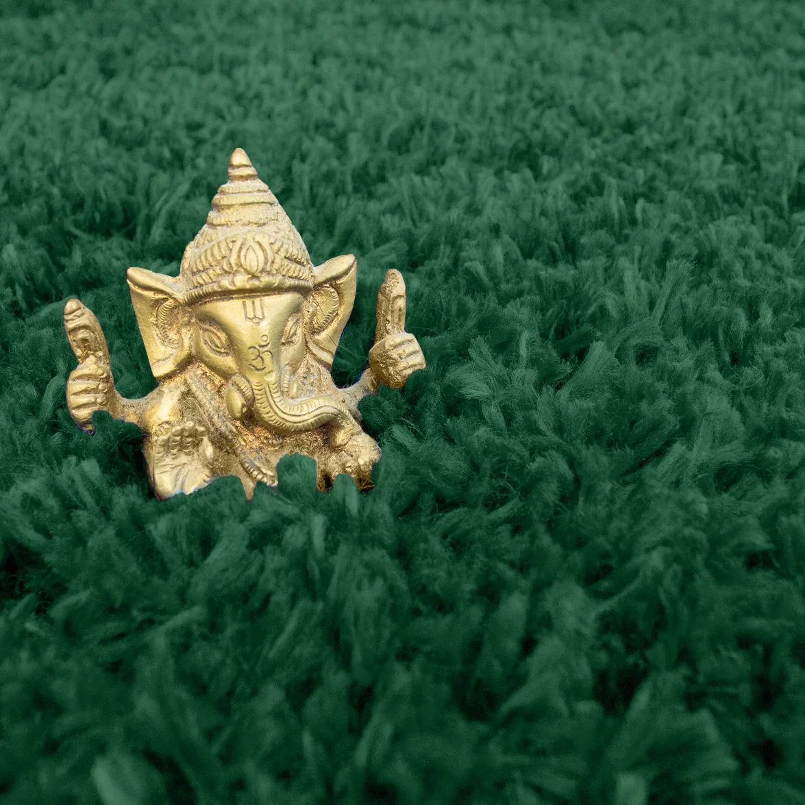 Soft Everyday Dark Green Shaggy Rug - Image 5