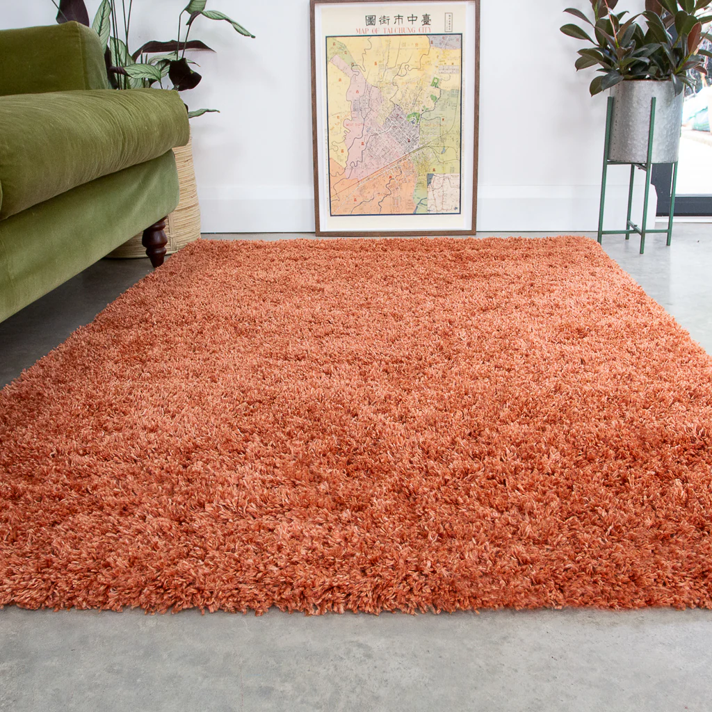 Soft Everyday Shaggy Rugs  - Choose Your Colour - Image 8