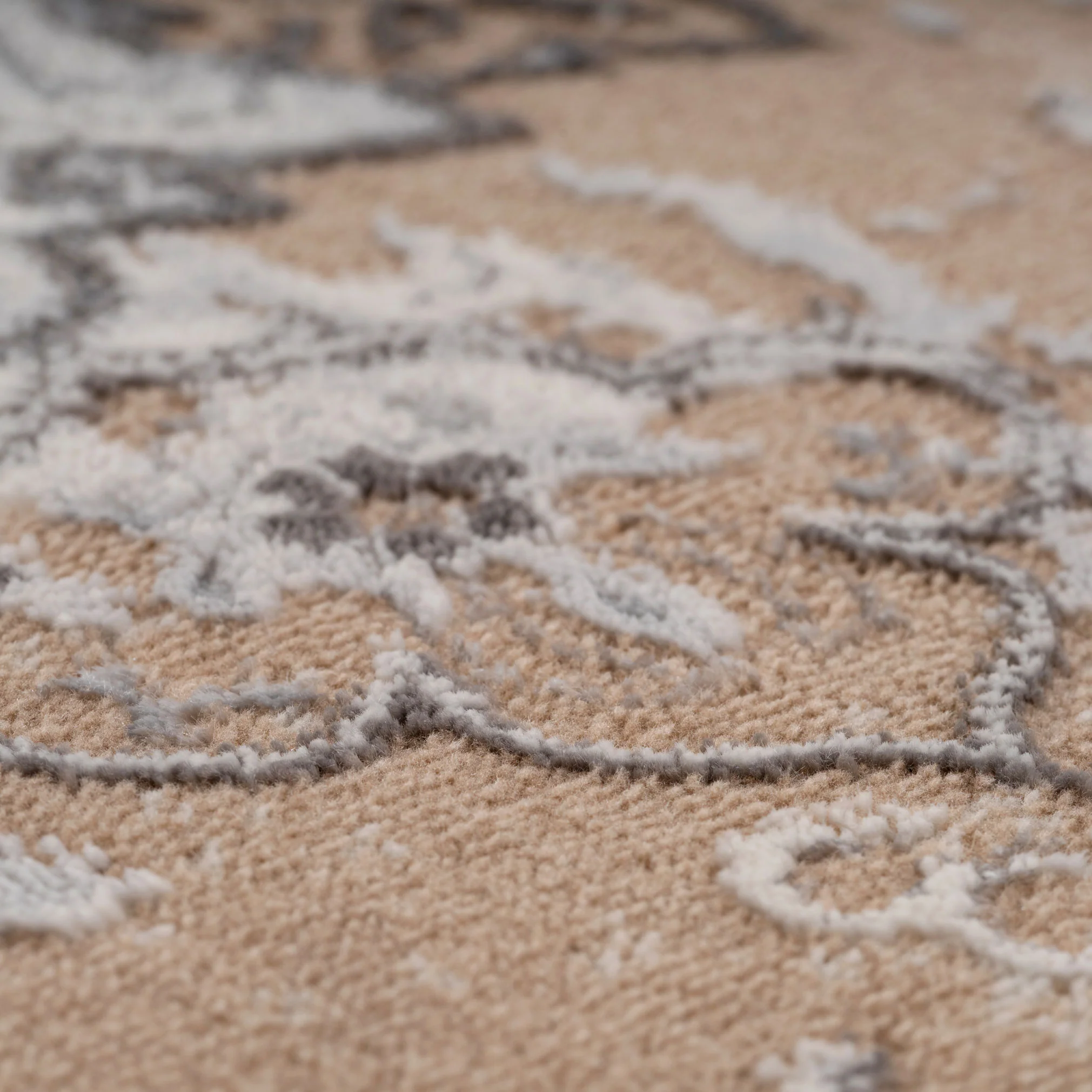 Traditional Distressed Beige Area Rug - Victoria - Image 5